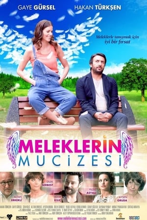 Meleklerin mucizesi (2014) Dual Audio | Dubbed Hindi Movie Web-DL [600MB]