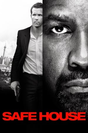 Safe House (2012) Dual Audio | Dubbed Hindi Movie BluRay 350MB