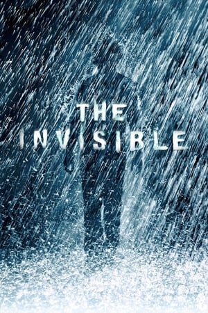 The Invisible 2007 Dual Audio Movie | Dubbed Hindi Movie BRRip - 850MB